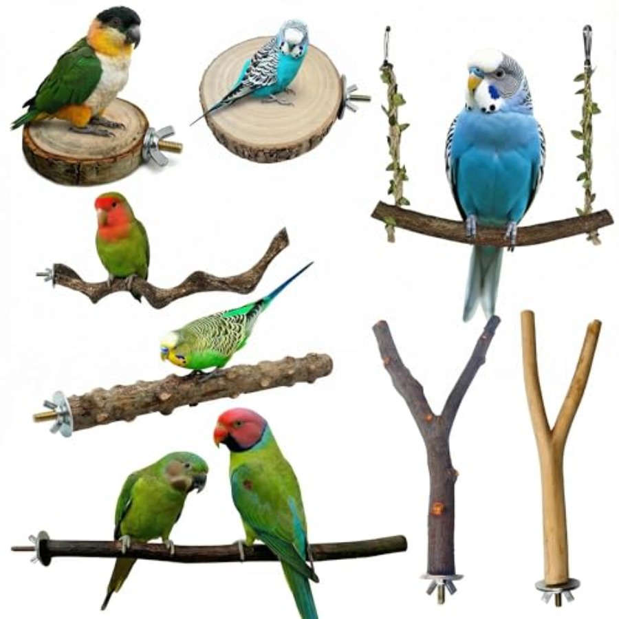 8PCS tempat bertengger burung  - Health & Wellness Fairs ulasan dan harga