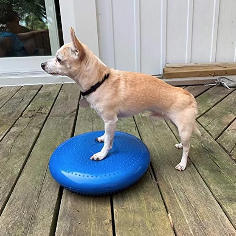 Bantalan Keseimbangan Anjing,  - Balance Cushion Disc ulasan dan harga