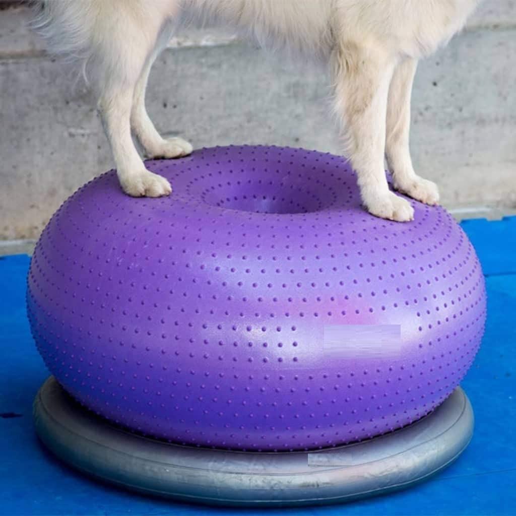 Bantal Keseimbangan Anjing, Pl - Balance Cushion Disc ulasan dan harga