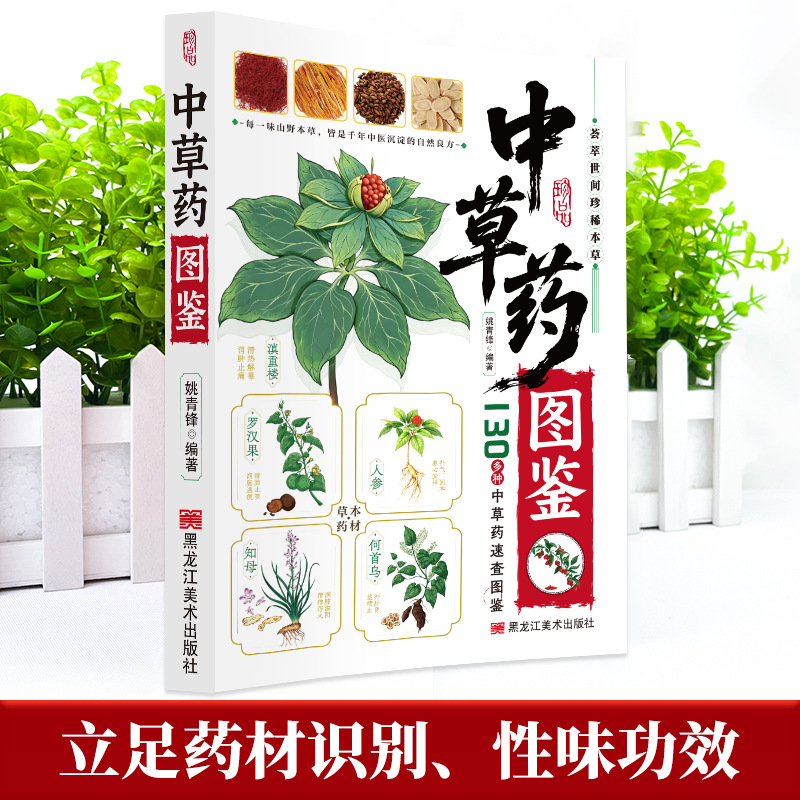 Panduan Bergambar Obat Herbal  - Health Wellness Guide ulasan dan harga