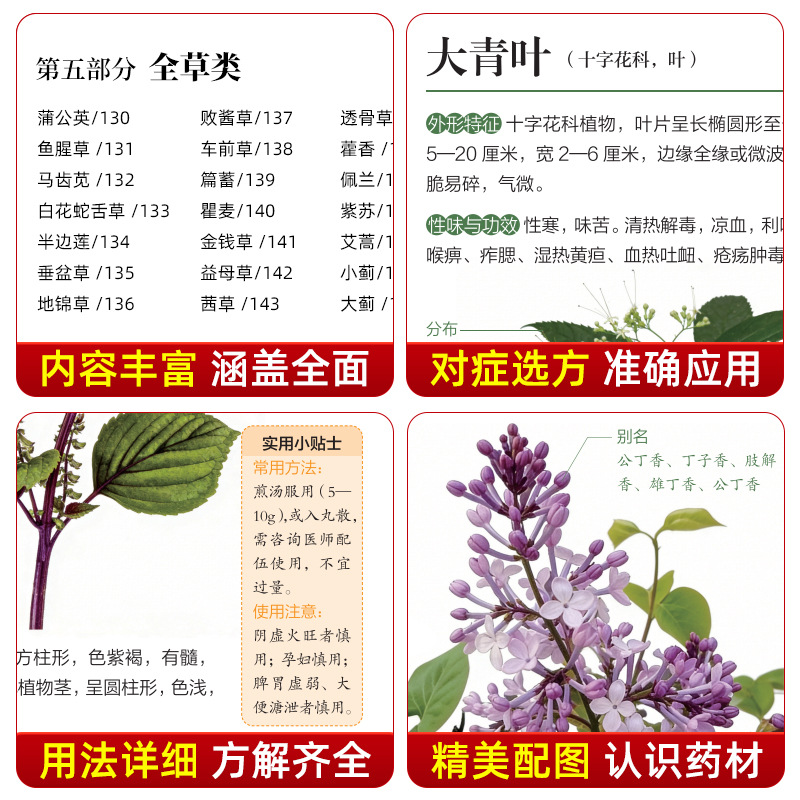 Panduan Bergambar Obat Herbal  - Health Wellness Guide ulasan dan harga